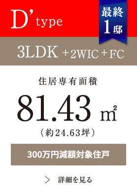 D'type 3LDK+2WIC+FC 81.43㎡